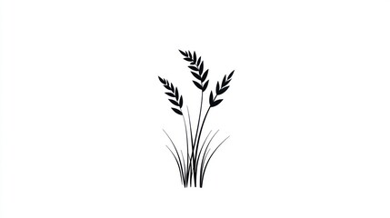 Fototapeta premium Wheat stalks, simple design, white background, nature graphic