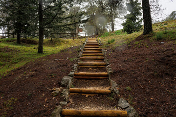 Escaleras hechas con por humanos con troncos en la naturaleza, Alcoy, España