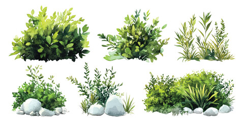 Set watercolor tropical green bushes lush shrubs isolated on transparent background