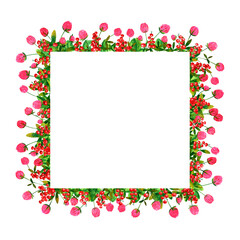 Fresh red currant berries and clover flowers background. Set of frames of watercolor berries and clovers, dragonflies, butterflies, bumblebees and bees. Clip art, design element.