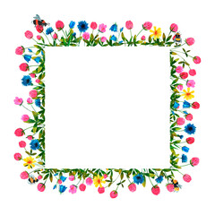 Wildflowers and clover flowers background. Set of frames of watercolor berries and clovers, dragonflies, butterflies, bumblebees and bees. Clip art, design element.