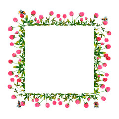 Clover flowers background. Set of frames of watercolor berries and clovers, dragonflies, butterflies, bumblebees and bees. Clip art, design element.