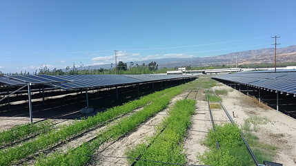 Solar Panel Array in Open Field, Glistening Black Surface Reflecting Sunlight Amidst Greenery