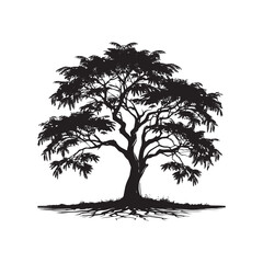 Minimalist Black Locust tree Silhouette - Black Locust Tree Vector - Tree Design - Black Locus Tree Illustration.