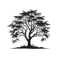 Minimalist Black Locust tree Silhouette - Black Locust Tree Vector - Tree Design - Black Locus Tree Illustration.