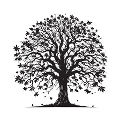 Obraz premium Black Walnut Tree Vector - Silhouette of Black Walnut tree - Tree art - Tree Design - Black Walnut Tree Illustration.