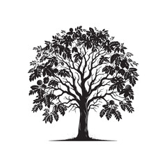 Black Walnut Tree Vector - Silhouette of Black Walnut tree - Tree art - Tree Design - Black Walnut Tree Illustration.