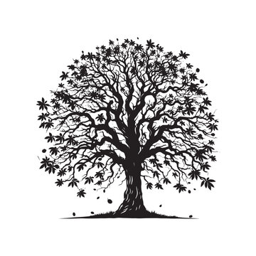 recommend clip art: Black Walnut Tree Vector - Silhouette of Black Walnut tree - Tree art - Tree Design - Black Walnut Tree Illustration.