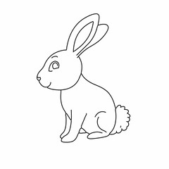 Rabbit icon line art color photo