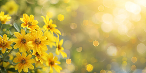 Beautiful yellow flowers against a blurred background with bokeh effects and copy space, creating a festive natural backdrop ideal for autumn or summer themes.