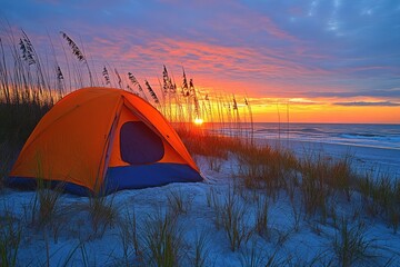 Beautiful sunset over the beach with tall grass and sand dunes.