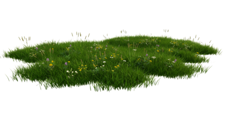Lush Meadow with Wildflowers, Perfect for Nature Scenes isolated on white or transparent png background