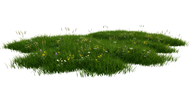 Lush Meadow with Wildflowers, Perfect for Nature Scenes isolated on white or transparent png background
