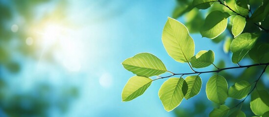 A vibrant spring landscape showcasing lush green leaves against a bright blue sky, ideal for nature-themed projects, gardening promotions, or environmental campaigns.