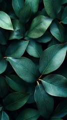 Obraz premium Lush Green Leaves, Nature Background