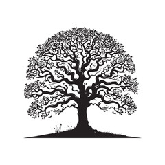 Buckeye Tree Vector - Minimalist Buckeye Tree Silhouette - Buck Eye Tree Art - Buckeye Tree Design - Buckeye Tree Illustration.