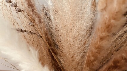 wheat ears on a wooden background © Antony