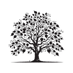 Obraz premium Catalpa Tree Silhouette - Catalpa Tree Vector - Catalpa Tree Illustration - Tree Art - Tree Design.