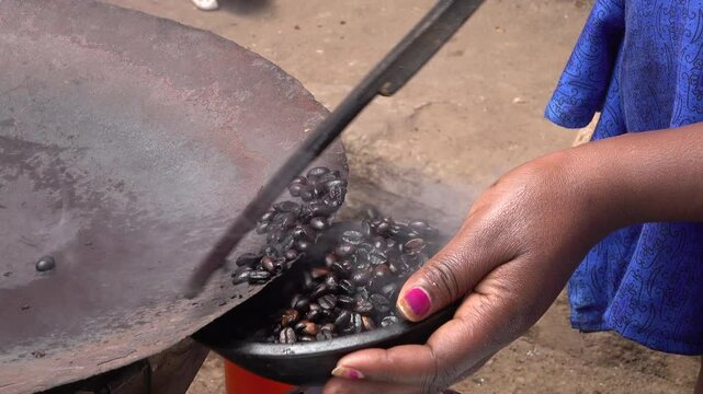 Woman collects coffee beans after roasting on hot plate with fire in tribal village of Dorze, traditional coffee ceremony in Ethiopia
