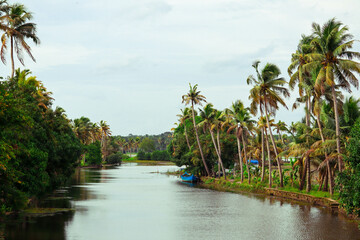 backwater lake  with coconut trees and boats