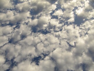 blue sky with cotton swab clouds