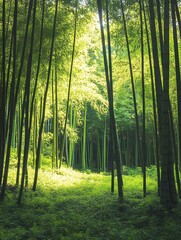 Fototapeta premium Sunlit Green Bamboo Forest Path