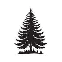 Douglas Tree Silhouette - Minimalist Tree Design - Douglas Tree Vector - Illustration of Douglas Tree.
