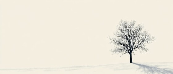 Solitary Bare Tree Against Minimalist Winter Landscape in Snow