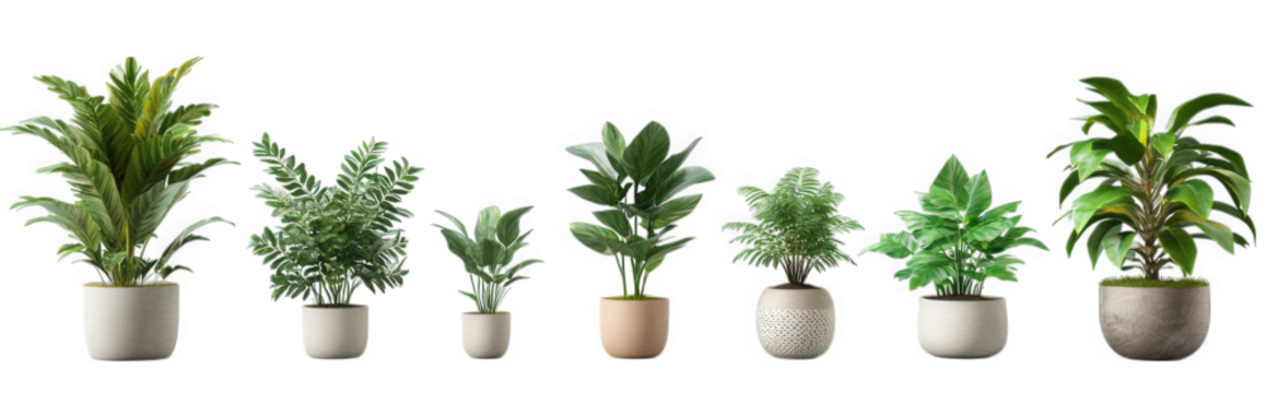 row of various indoor plants displayed in stylish pots. showcasing a range of greenery ideal for home decor the plants vary in size and shape. contributing to a fresh and vibrant atmosphere. perfect f