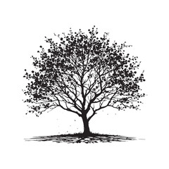 Eastern redbud Tree Silhouette - Minimalist Tree Design - Eastern Redbud Tree Vector - Tree Design - Tree Illustration.