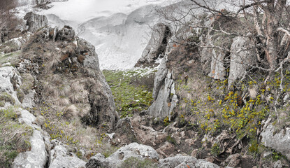 Winter on the Lago Naki plateau. Karst sinkholes, crevices, gorges. Krasnodar Region, Republic of Adygea