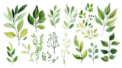 Stylish watercolor botanical collection featuring green leaves, floral accents, and organic brush strokes