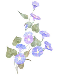 hand drawn flowers on white
