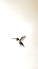 Fototapeta premium Hummingbird hovering gracefully in a light background