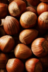 close up hazelnuts, macro photography