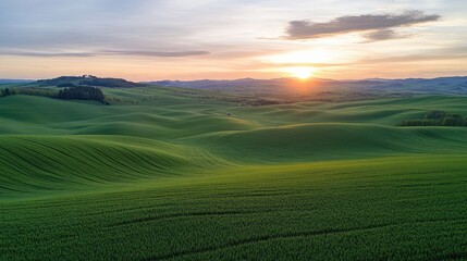 Obraz premium Farm tractor is actively spraying a green furrowed field at sunset, creating a serene agricultural landscape filled with vibrant colors