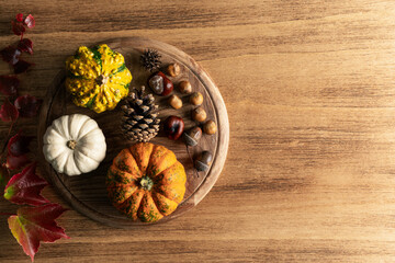 Empty Thanksgiving background with pumpkins and autumn leaves, copy space for text