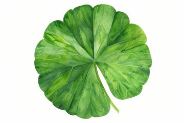 Obraz premium Classic three-leaf shamrock isolated on white background, a symbol of faith, hope, and luck, often associated with Irish culture and St. Patrick’s Day.