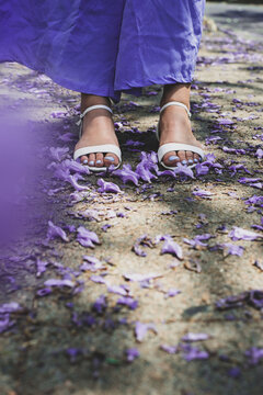 feet and jacarandas