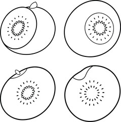 Fototapeta premium Fruit Outline Drawing Fruit Line Art Black and White Clipart