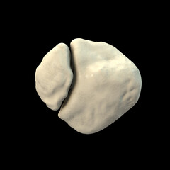 Bipartite patella, a condition where the kneecap has an unfused accessory ossification center, usually superolateral, 3D illustration.