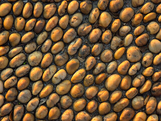Smooth River Stones Arranged in Natural Patterns on Ground Surface