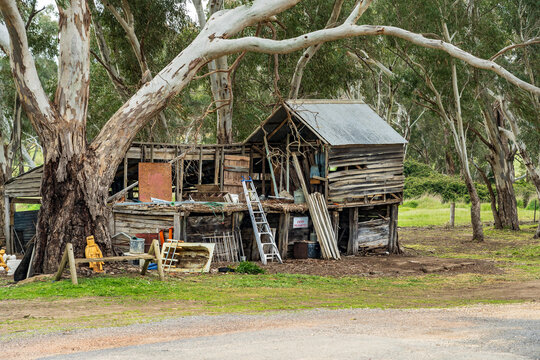 A ramshackle shed and tools under a gum tree on the side of a country road