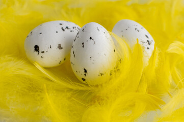 colorful easter eggs