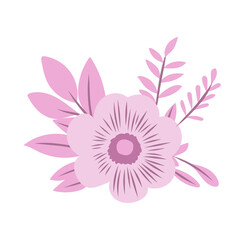 Floral arrangement of pink flowers. delicate flowers, spring, isolated on white background vector