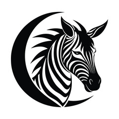 black and white horse