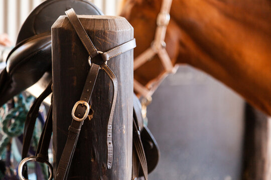 Horses leather bridle on post in stable