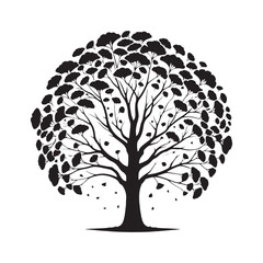Gingko Tree Vector - Minimalist Tree Design - Gingko Tree Illustration - Gingko Tree Art.