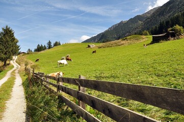 Unterwegs im Stubaital