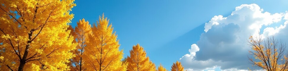 Fototapeta premium Azure sky, golden aspen leaves in autumn sunlight, trees, foliage, leaves